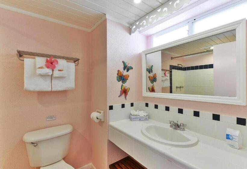 Superior Studio Pool View, Butterfly Beach