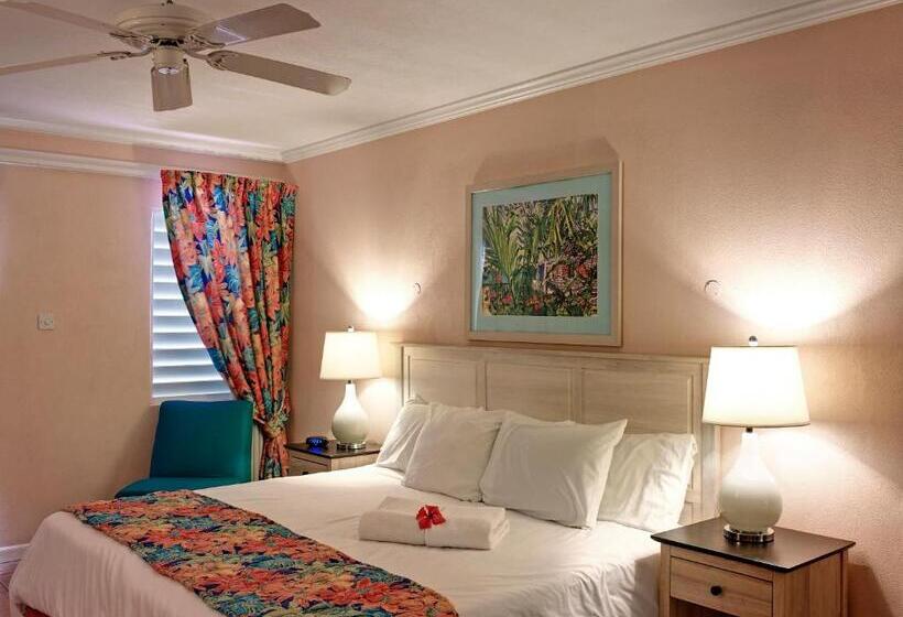 Superior Studio Pool View, Butterfly Beach