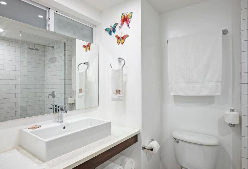 استودیوی لوکس, Butterfly Beach