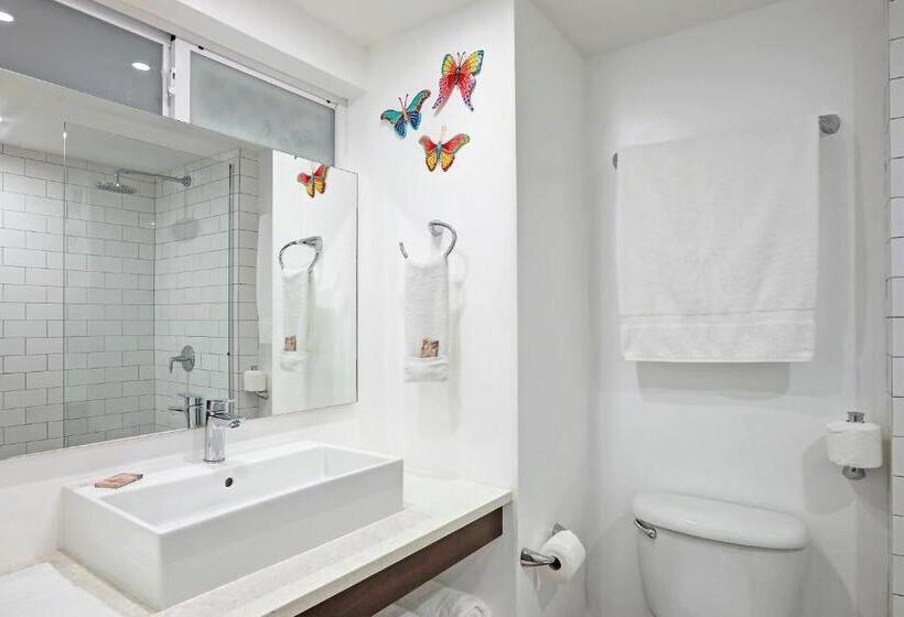 استودیو لوکس با چشمانداز دریا, Butterfly Beach