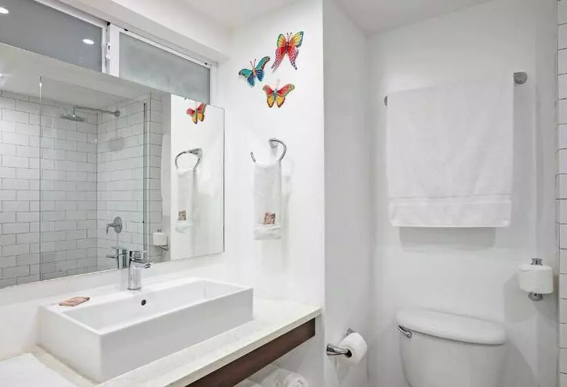 استودیو لوکس با چشمانداز دریا, Butterfly Beach