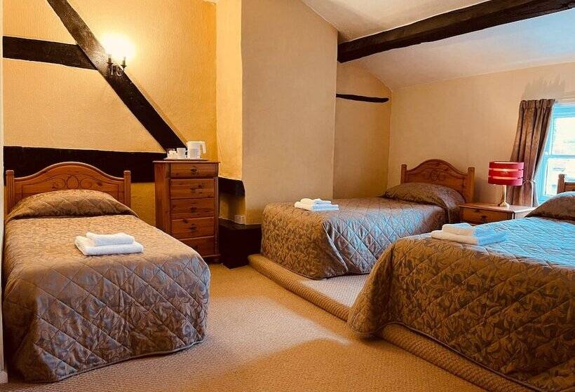 4인용 스탠다드 룸, Cain Valley