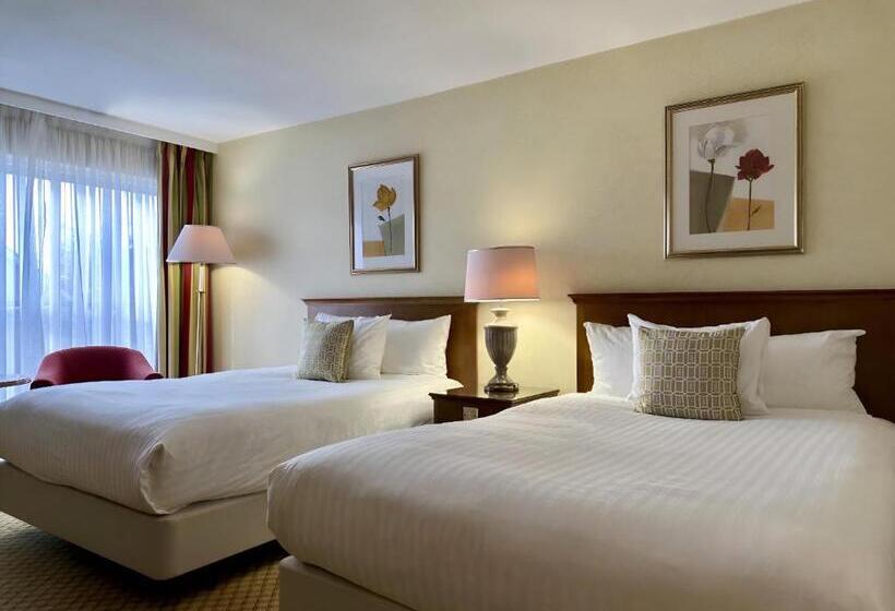 패밀리 룸, The Aberdeen Dyce