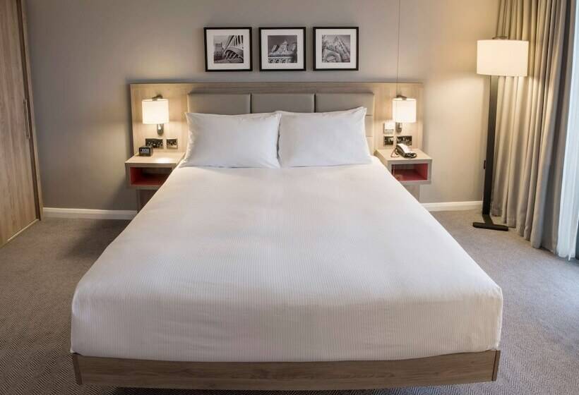 适合残疾人士使用的带双人床的标准间, Hilton Garden Inn Manchester Emirates Old Trafford