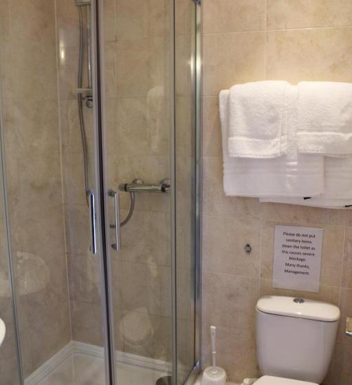 חדר סטנדרט, The Lion