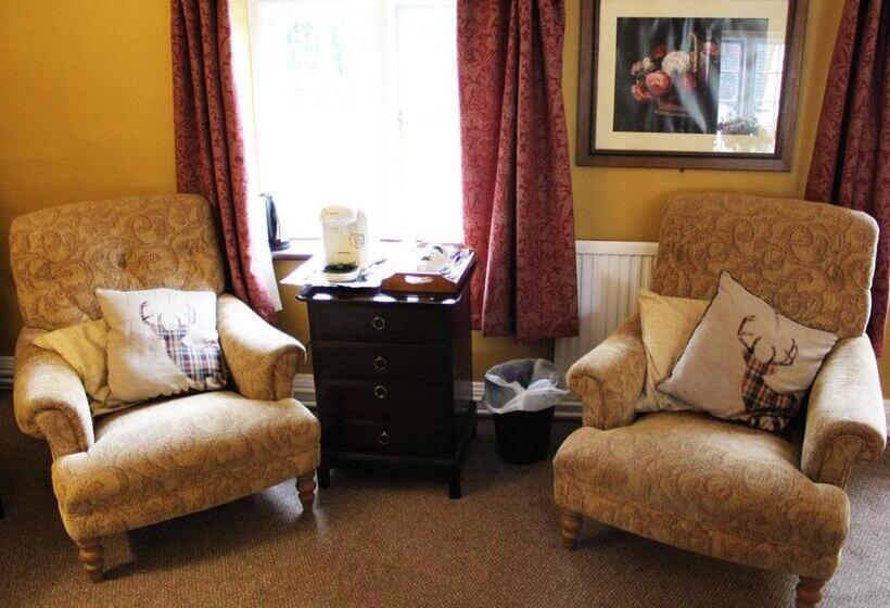 סוויטת ג'וניור, The Lion