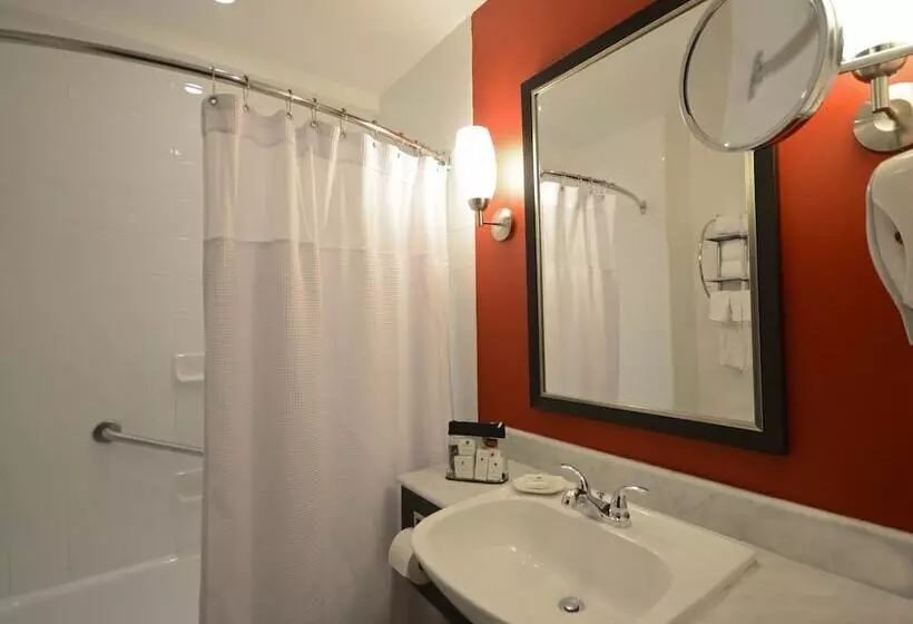 سوئیت با تخت بزرگ, Armon Plaza Montreal Airpt, Trademark Collection By Wyndham