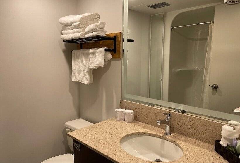 스탠다드 룸 더블 침대 2개, Auberge De La Gare