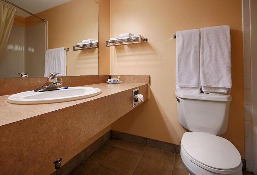 غرفة قياسية سرير كينج, Best Western Of Olds