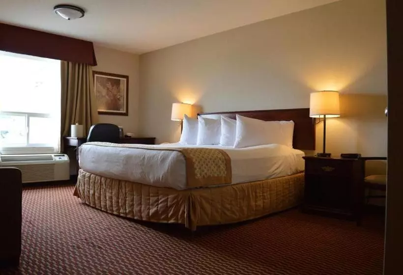 キングサイズベッドのスタンダードルーム, Best Western Of Olds