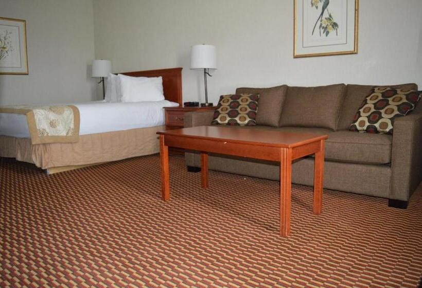 Номер Стандарт, Best Western Of Olds