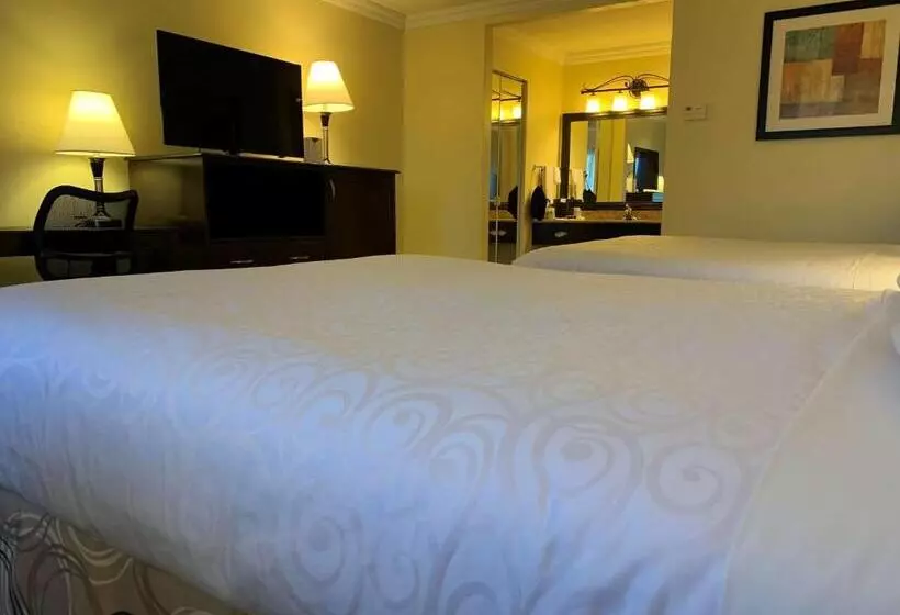 スタンダードルーム, Best Western Plus Burnaby