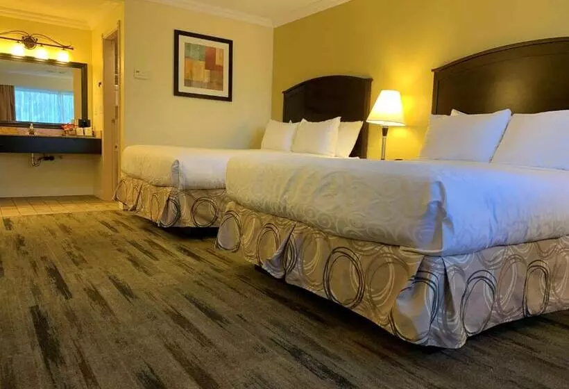 スタンダードルーム, Best Western Plus Burnaby