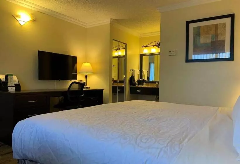 キングサイズベッドのスタンダードルーム, Best Western Plus Burnaby