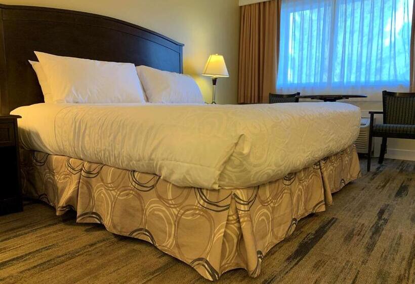 Стандартный Номер Кровать Кинг, Best Western Plus Burnaby