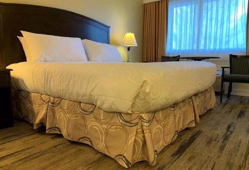 キングサイズベッドのスタンダードルーム, Best Western Plus Burnaby