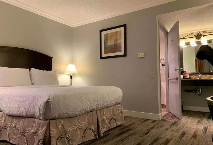 身障者適用スタンダードルーム, Best Western Plus Burnaby