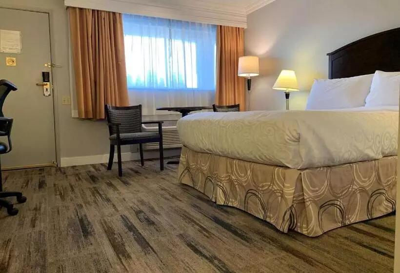 身障者適用スタンダードルーム, Best Western Plus Burnaby