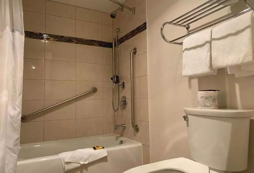身障者適用スタンダードルーム, Best Western Plus Burnaby