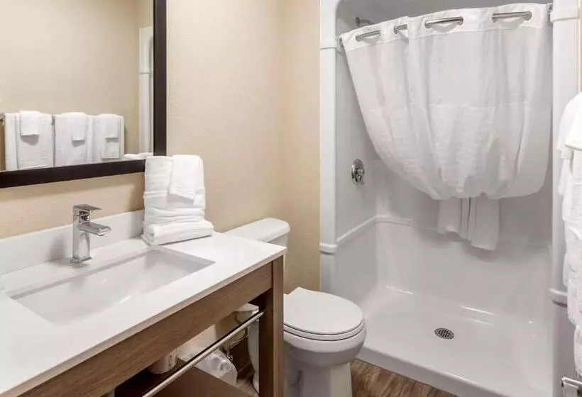 ビジネスルーム, Comfort Inn & Suites Thousand Islands Harbour District