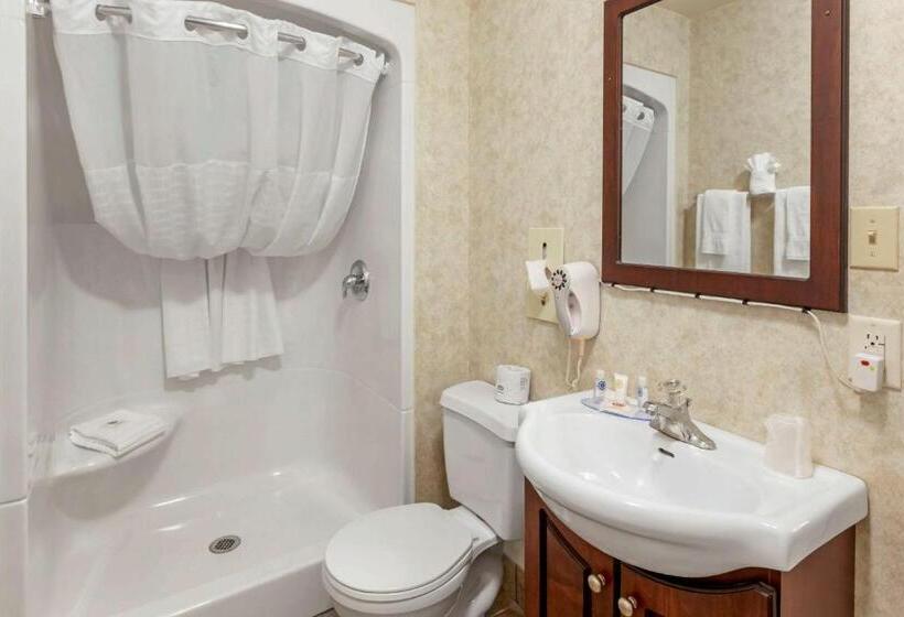 غرفة بيزنس, Comfort Inn & Suites Thousand Islands Harbour District