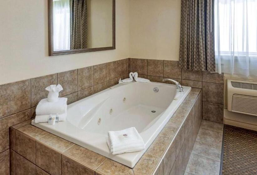 Номер бизнес-класса, Comfort Inn & Suites Thousand Islands Harbour District