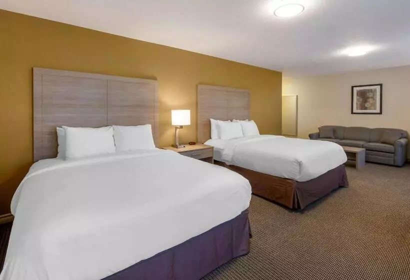 スタンダードルーム, Comfort Inn & Suites Thousand Islands Harbour District