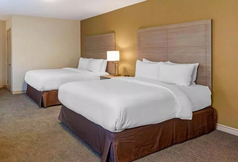 スタンダードルーム, Comfort Inn & Suites Thousand Islands Harbour District