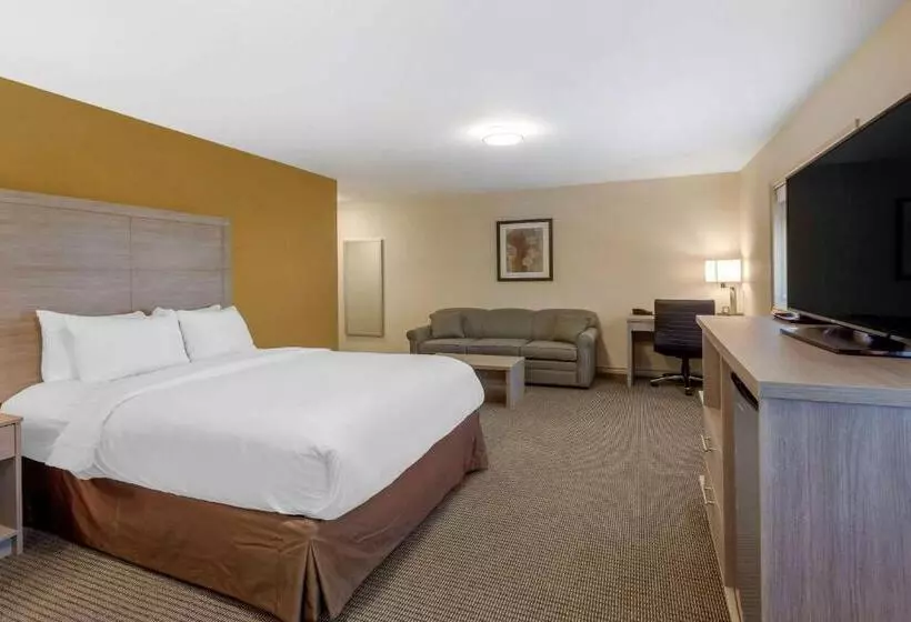 スタンダードルーム, Comfort Inn & Suites Thousand Islands Harbour District