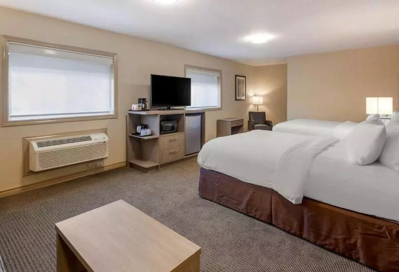 スタンダードルーム, Comfort Inn & Suites Thousand Islands Harbour District