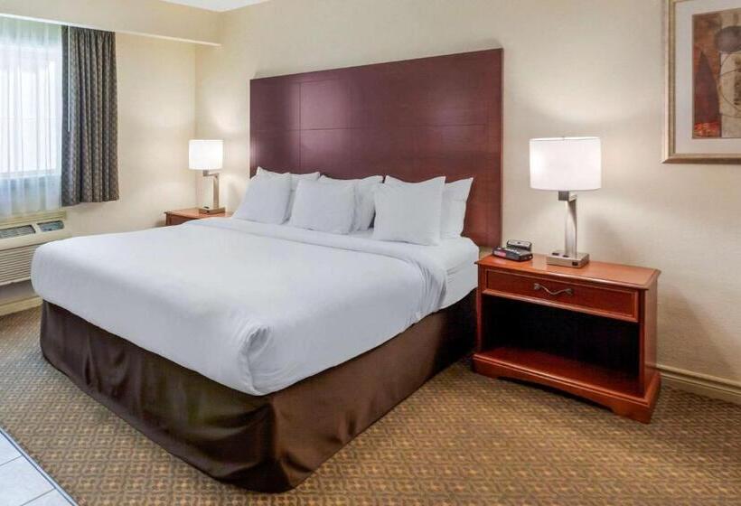 Номер бизнес-класса, Comfort Inn & Suites Thousand Islands Harbour District