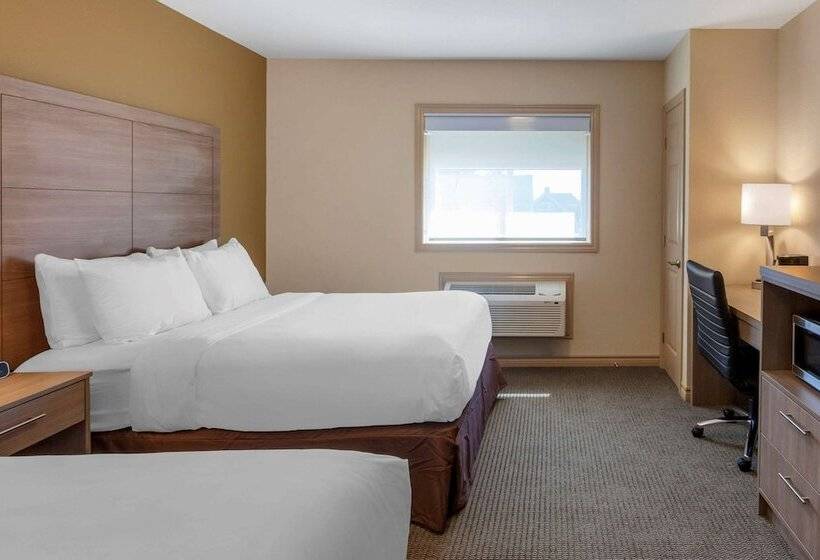 Номер бизнес-класса, Comfort Inn & Suites Thousand Islands Harbour District