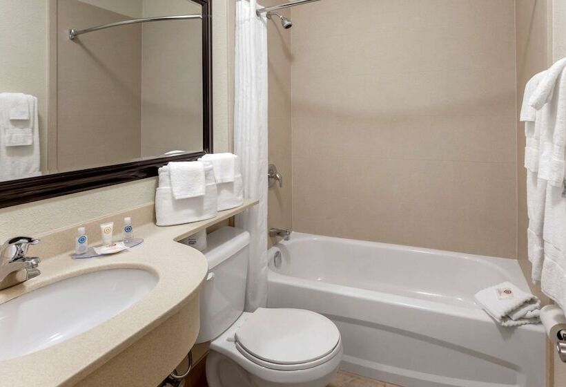 Номер Стандарт, Comfort Inn & Suites Thousand Islands Harbour District