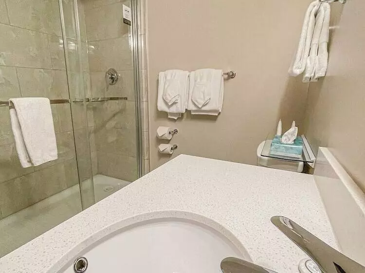 اتاق سوپریور با تخت بزرگ, Prestige Oceanview Hotel Prince Rupert