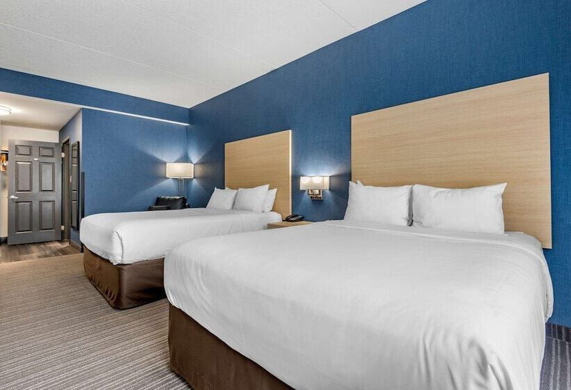 Люкс, Quality Inn & Suites