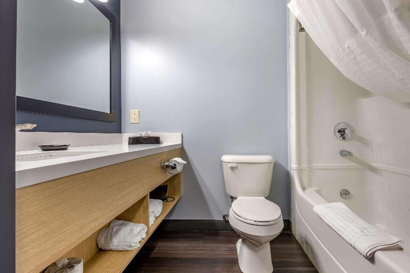 غرفة قياسية سرير كينج, Quality Inn & Suites