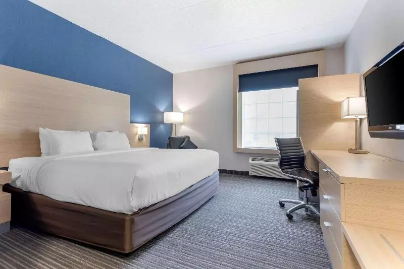 キングサイズベッドのスタンダードルーム, Quality Inn & Suites