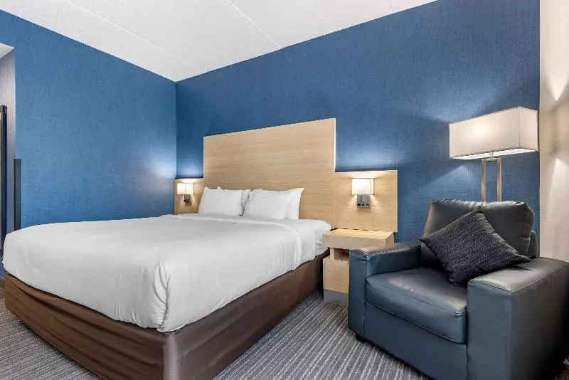キングサイズベッドのスタンダードルーム, Quality Inn & Suites