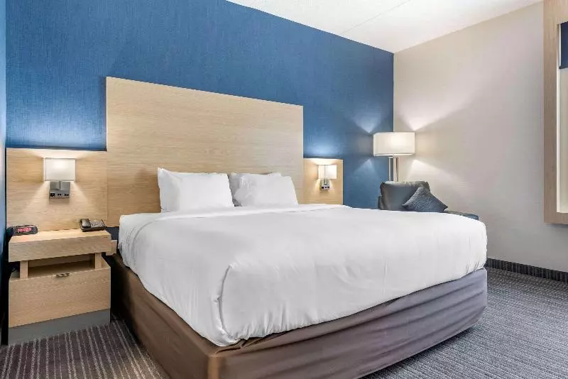 キングサイズベッドのスタンダードルーム, Quality Inn & Suites