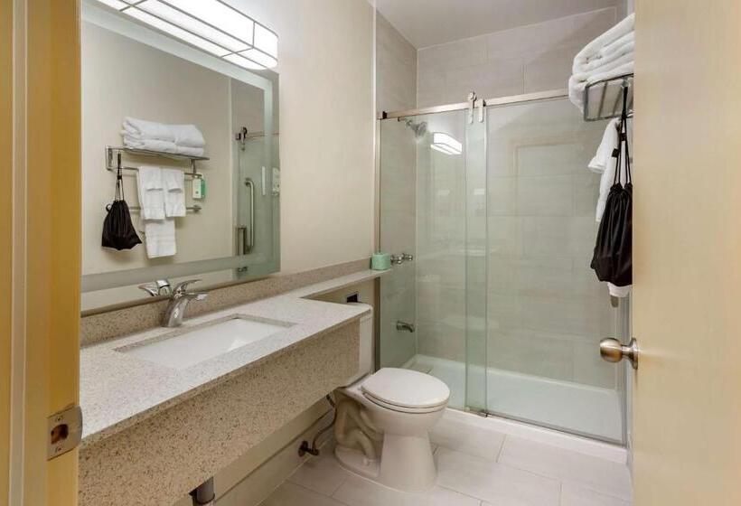 Номер Стандарт 2 Двуспальные Кровати, Surestay Plus Hotel By Best Western Kincardine