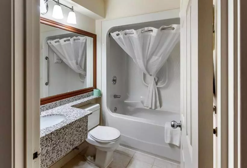 キングサイズベッドのスタンダードルーム, Surestay Plus Hotel By Best Western Kincardine