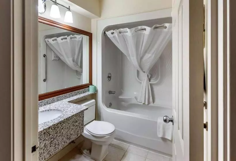 キングサイズベッドのスタンダードルーム, Surestay Plus Hotel By Best Western Kincardine