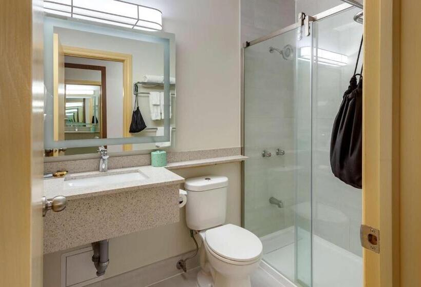 Номер Стандарт Индивидуальный, Surestay Plus Hotel By Best Western Kincardine