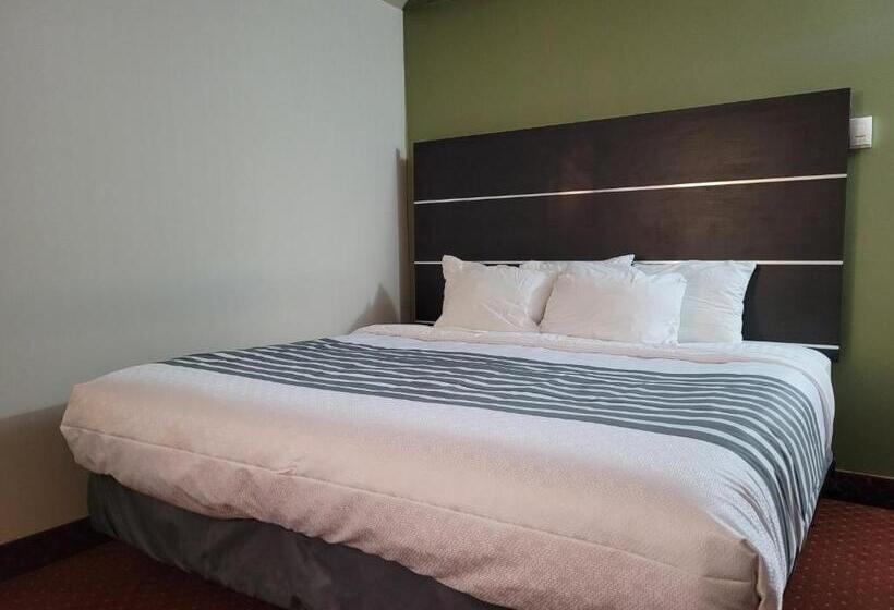 غرفة قياسية سرير كينج, Surestay Plus Hotel By Best Western Kincardine