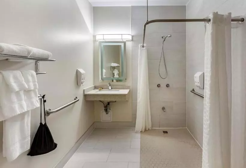 身障者適用スタンダードルーム, Surestay Plus Hotel By Best Western Kincardine