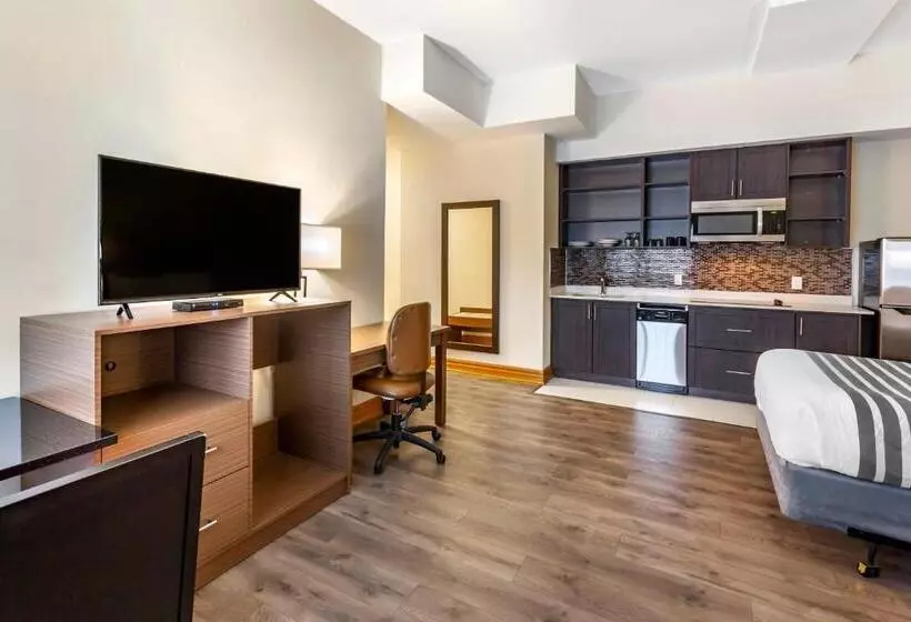 身障者適用スタンダードルーム, Surestay Plus Hotel By Best Western Kincardine