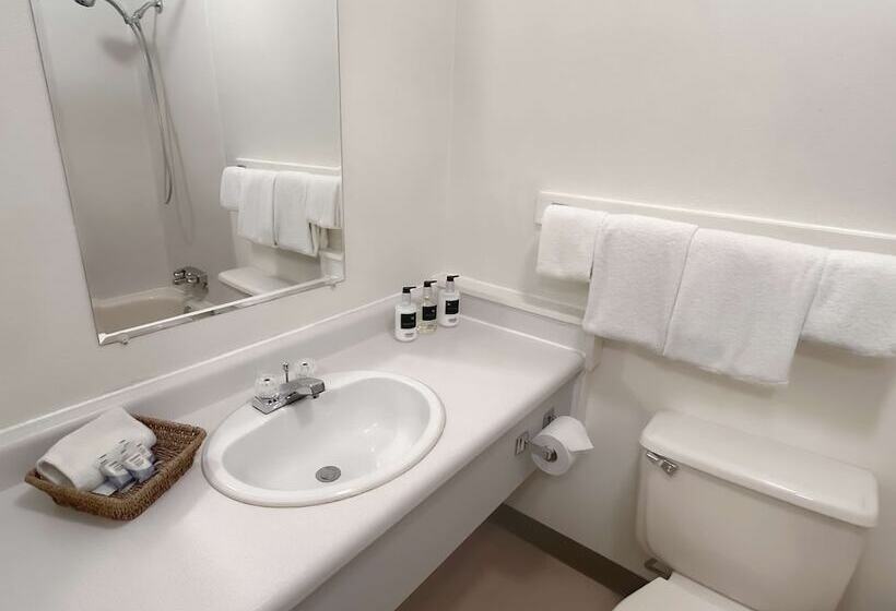 Standard Værelse 2 Dobbeltsenge, The Downtown, A Coast