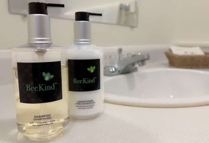 Standard Værelse 2 Dobbeltsenge, The Downtown, A Coast