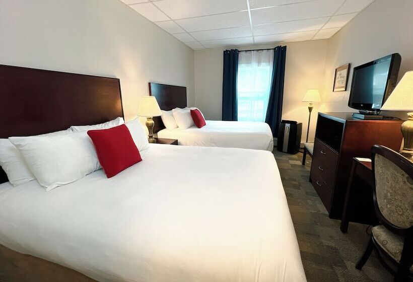 Standard Værelse 2 Dobbeltsenge, The Downtown, A Coast