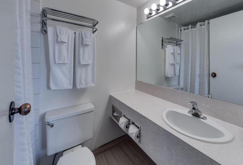 Номер Стандарт, Heritage Inn Hotel & Convention Centre   Pincher Creek